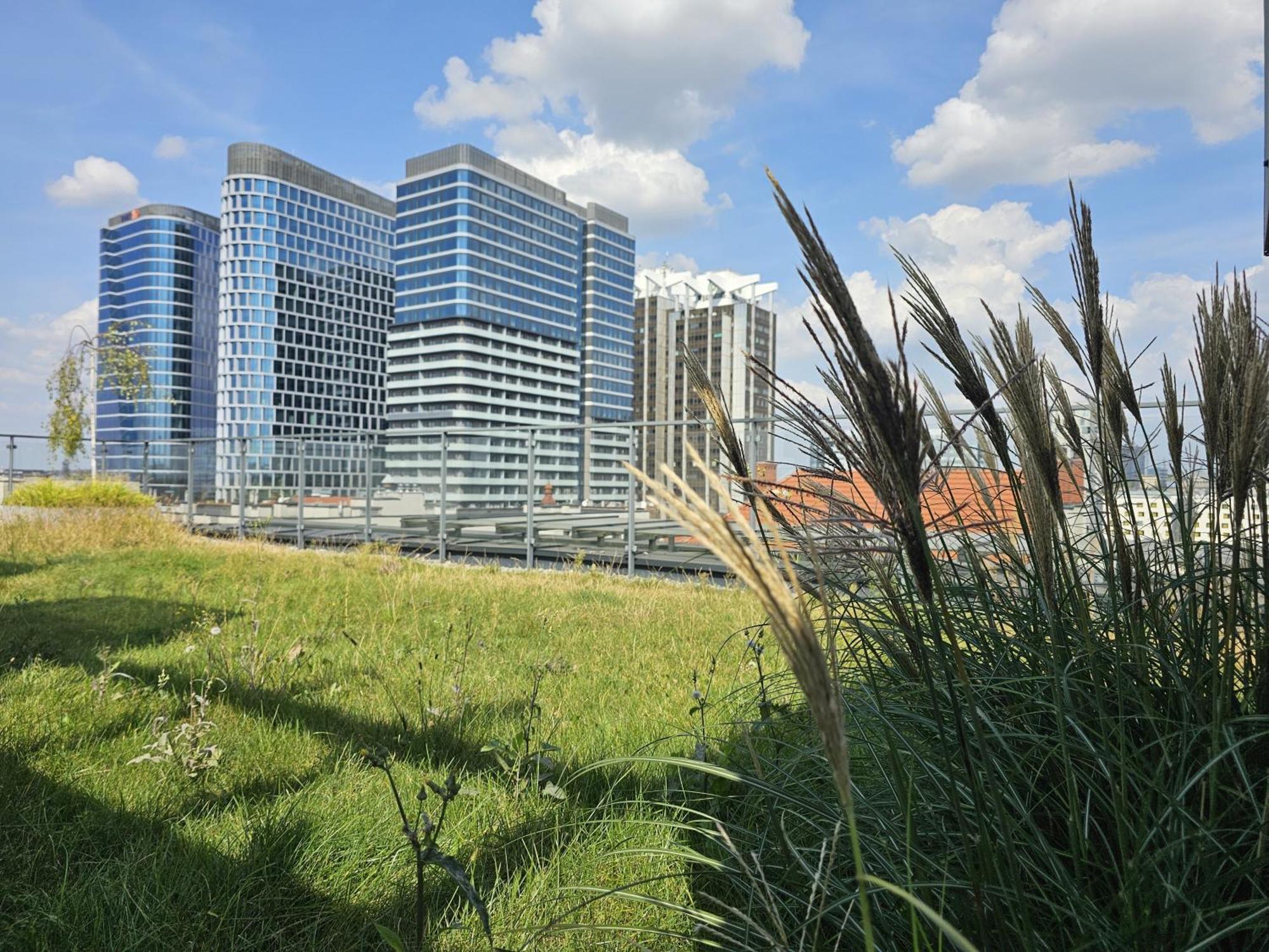 Urban Apartments Premium, Opolska 10 No 91, Free Garage, Self Check-In Κατοβίτσε Εξωτερικό φωτογραφία